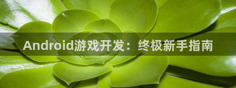 沐鸣娱乐2注册官网