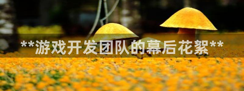 沐鸣2平台主管代理