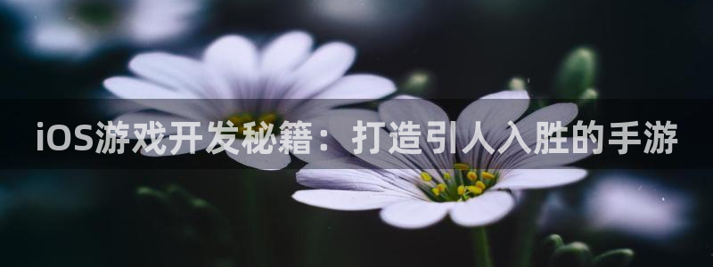 沐鸣娱乐2官方网站