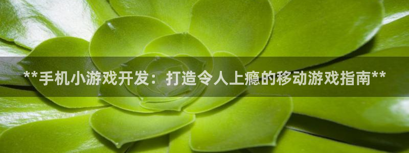 沐鸣2手机网页版