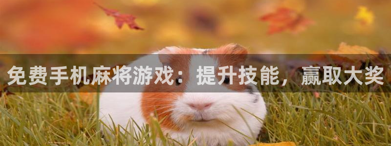 沐鸣娱乐2