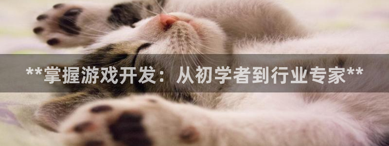 沐鸣娱乐2登录平台是什么软件