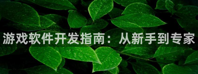 沐鸣2票35994度