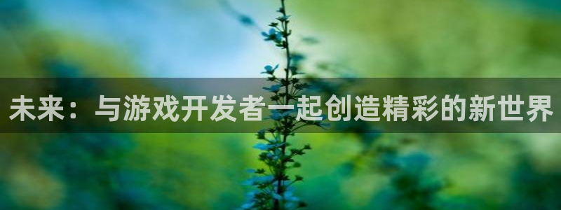 沐鸣娱乐2登录平台是什么软件：未来：与游戏开发者一起创造精彩的新世界