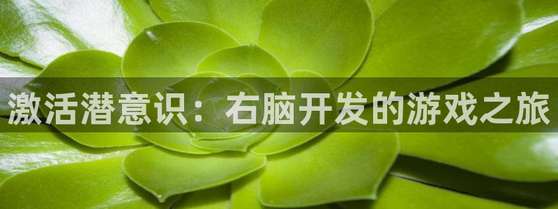 沐鸣娱乐2手机下载官网：激活潜意识：右脑开发的游戏之旅