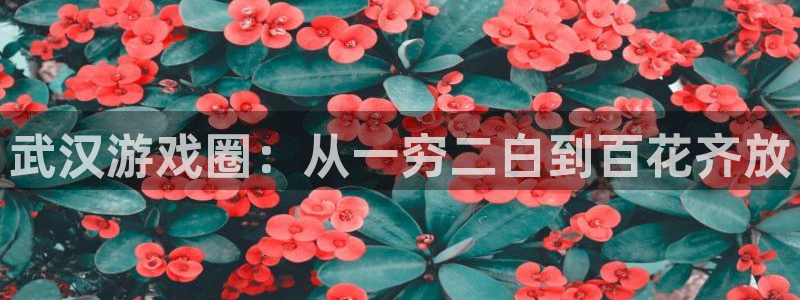 沐鸣娱乐2电脑版：武汉游戏圈：从一穷二白到百花齐放