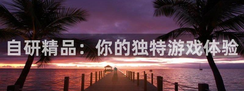 沐鸣2娱乐平台登录客服：自研精品：你的独特游戏体验