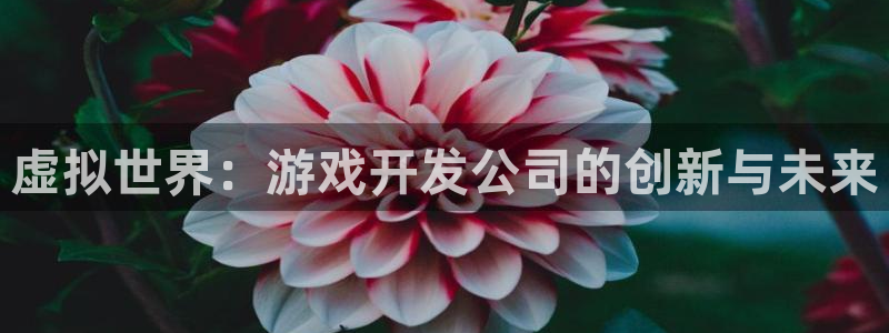 沐鸣娱乐2官网网址是什么：虚拟世界：游戏开发公司的创新与未来