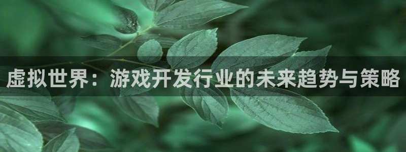 沐鸣娱乐2官方：虚拟世界：游戏开发行业的未来趋势与策略