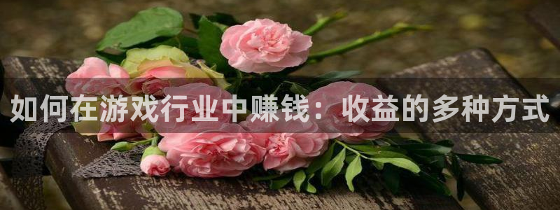 沐鸣2娱乐登录测速：如何在游戏行业中赚钱：收益的多种方式