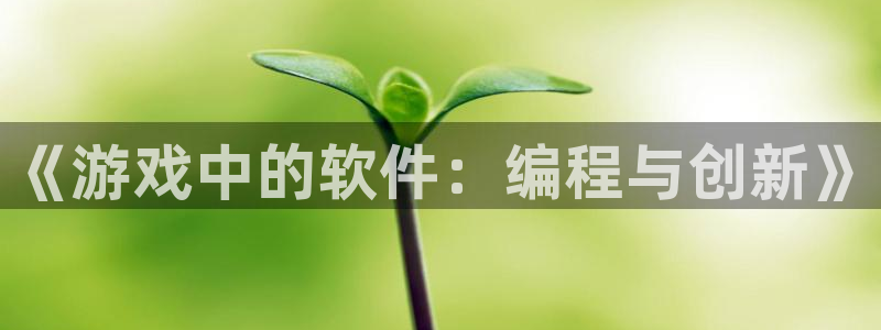 沐鸣2平台是杏彩的吗：《游戏中的软件：编程与创新》