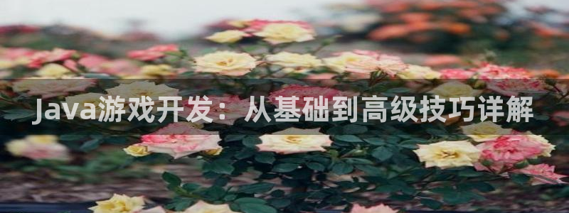 沐鸣2平台是杏彩的吗