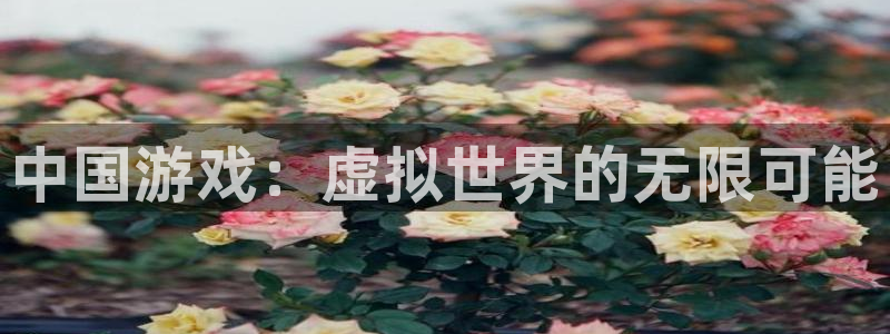 沐鸣2选 37OO735：中国游戏：虚拟世界的无限可能
