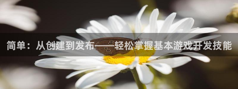 沐鸣2登陆扣27337：简单：从创建到发布——轻松掌握基本游戏开发技能
