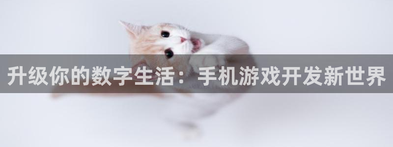 沐鸣2官网网址