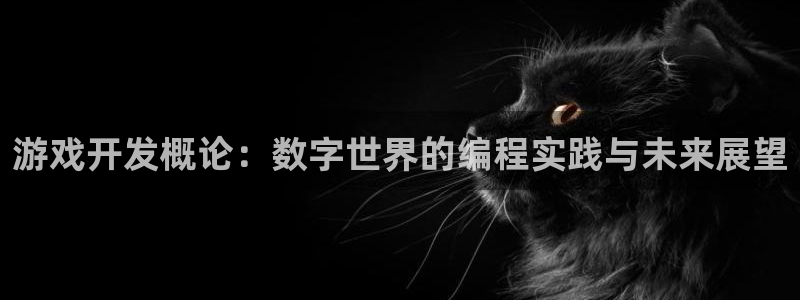 沐鸣娱乐2的分分彩：游戏开发概论：数字世界的编程实践与未来展望
