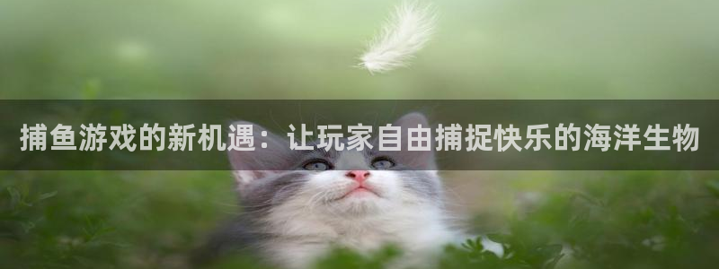 沐鸣娱乐2登录地址：捕鱼游戏的新机遇：让玩家自由捕捉快乐的海洋生物