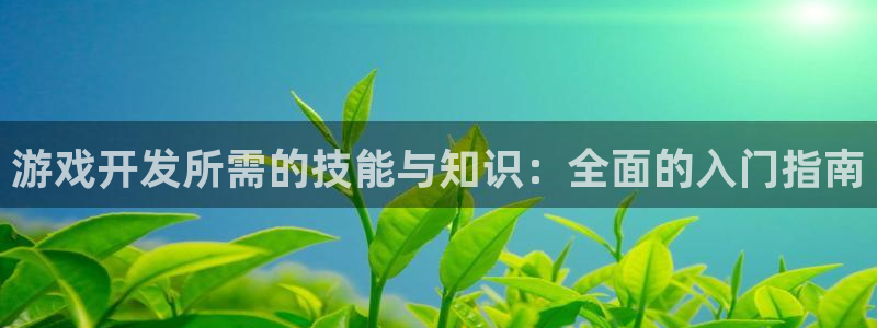 沐鸣2注册说来77542：游戏开发所需的技能与知识：全面的入门指南