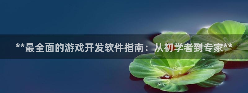 沐鸣娱乐2怎么样：**最全面的游戏开发软件指南：从初学者到专家**