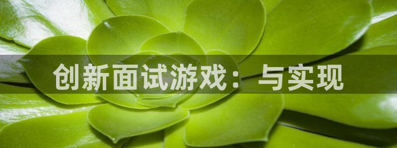 沐鸣2平台测速登录：创新面试游戏：与实现