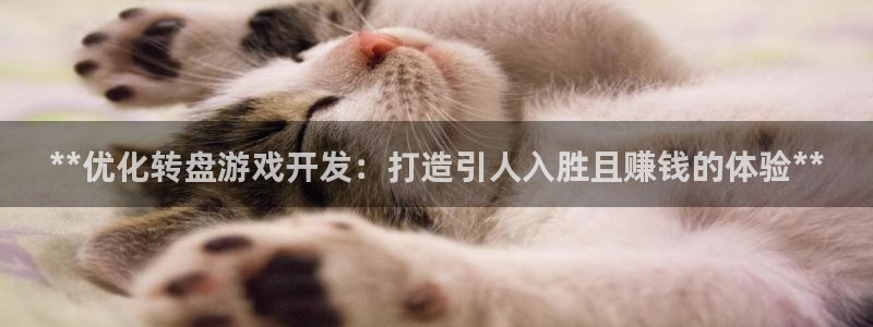 沐鸣2平台官方注册登录：**优化转盘游戏开发：打造引人入胜且赚钱的体验**