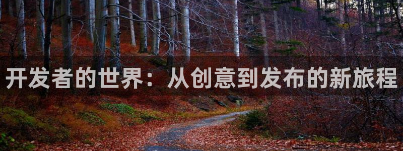 沐鸣代理22927：开发者的世界：从创意到发布的新旅程