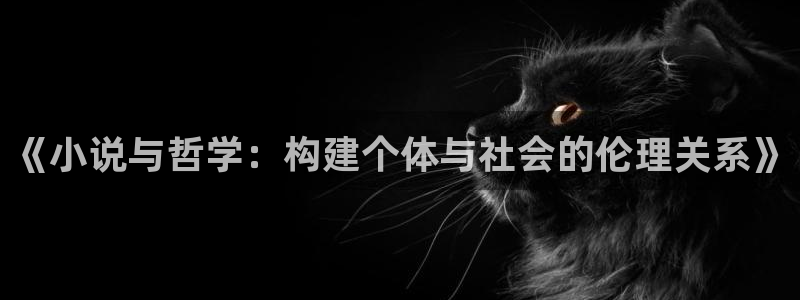 奇书网txt下载：《小说与哲学：构建个体与社会的伦理关系》