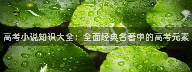 加一个我不太会打txt奇书网：高考小说知识大全：全面经典名著中的高考元素