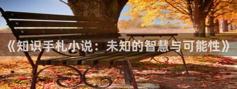 749局秘闻txt下载奇书网：《知识手札小说：未知的智慧与可能性》